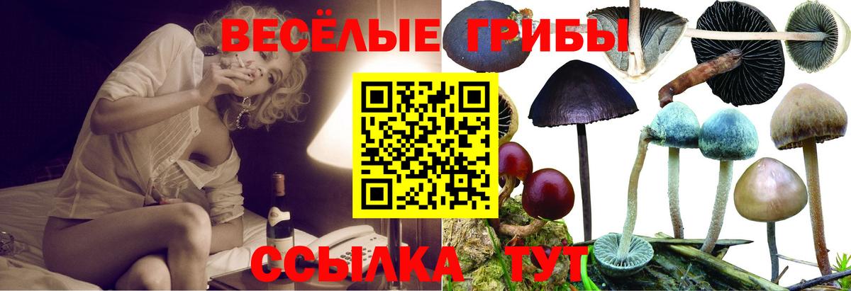 Галлюциногенные грибы ЛСД Лениногорск