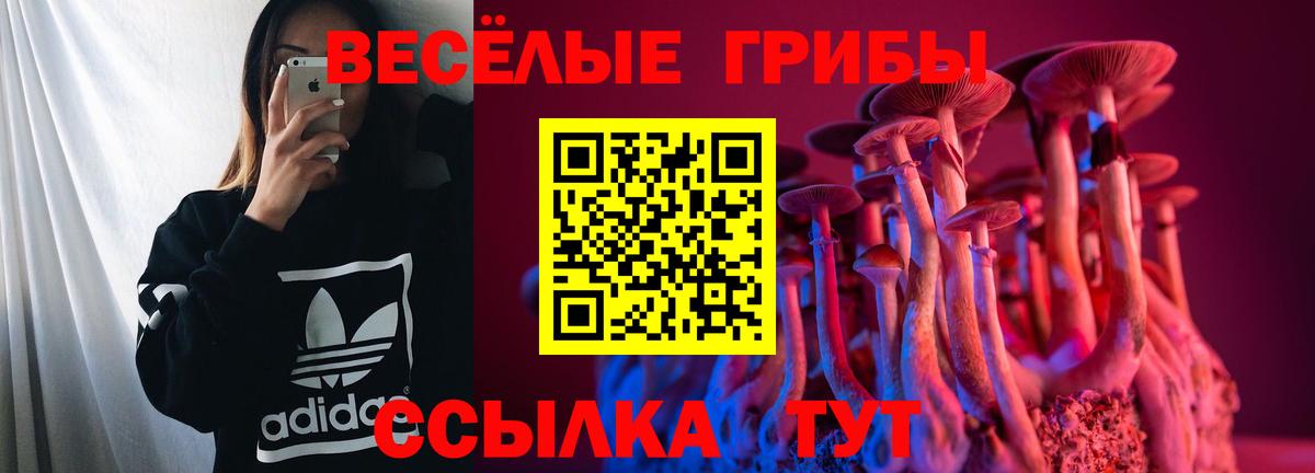 Лениногорск  где купить наркоту  Вход с VPN  Галлюциногенные грибы MAGIC MUSHROOMS 